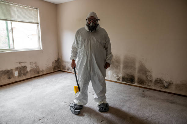 Best Mold Remediation  in Wahoo, NE